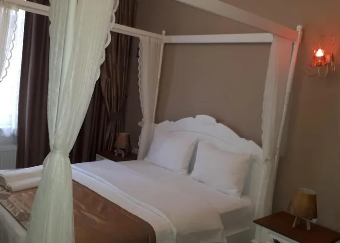 Zeynep Hatun 2* Biga