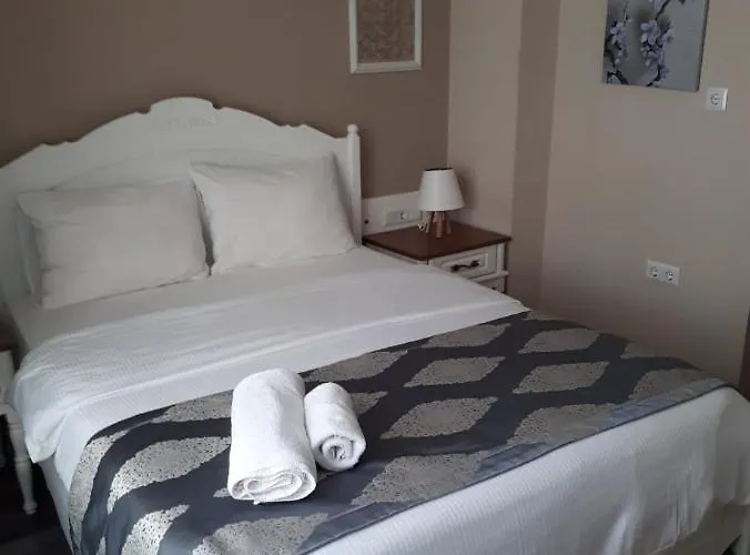 Zeynep Hatun מלון Biga